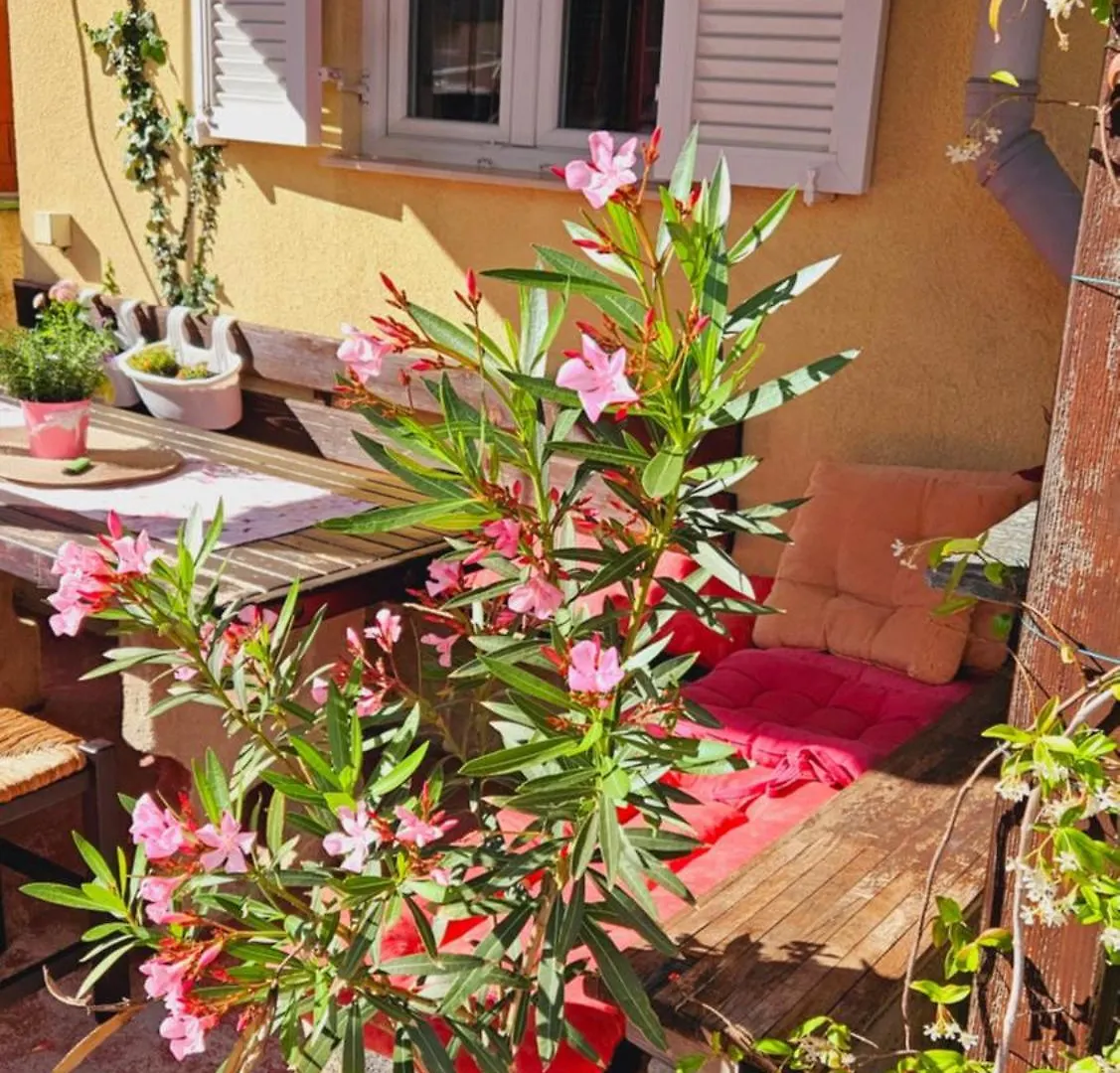Apartman Kristina Novi Vinodolski